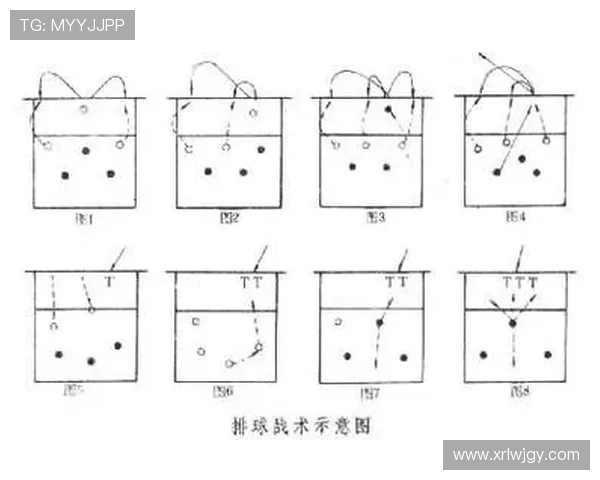 西安排球队的快速进攻策略与战术分析探讨
